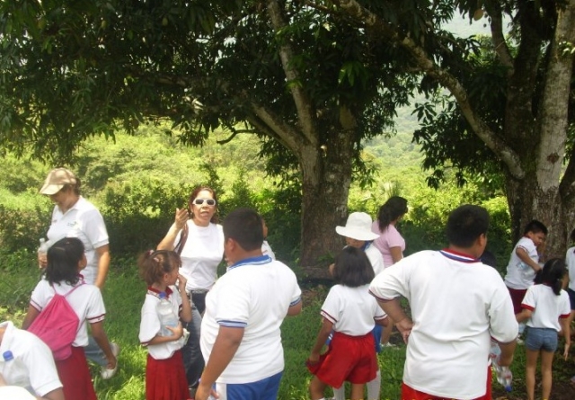 Grupos escolares